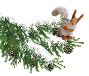С Наступающим Новым Годом!