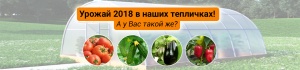 Ваши фото из наших тепличек;)